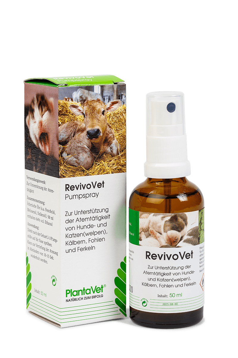 RevivoVet® Sprühflasche Bronchitis Online Shop