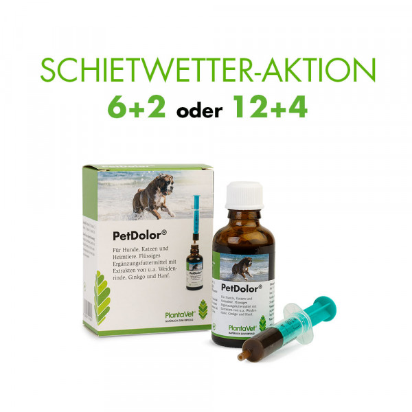 Aktion PetDolor® - Flasche 50 ml mit Spritze