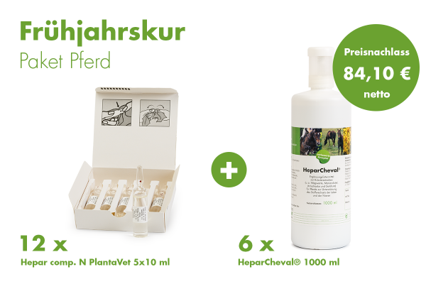 Aktion Frühjahrskur Pferde