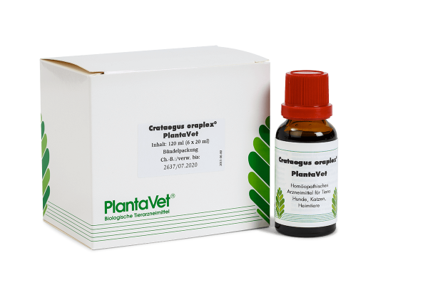 Crataegus oraplex® - Tropfflaschen 6 x 20 ml