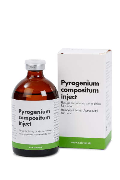Pyrogenium comp. inject - Durchstechflasche