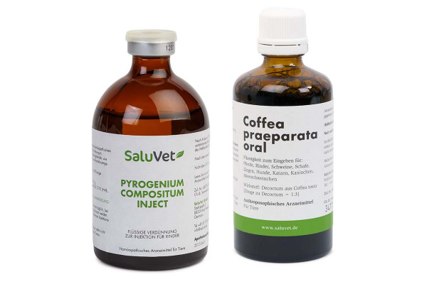 Pyrogenium compositum inject + Coffea praeparata oral Flasche je 100 ml