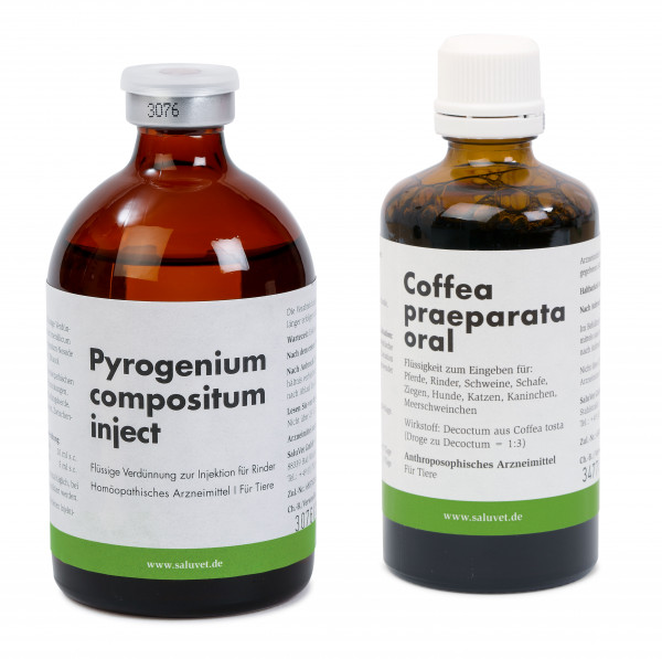 Pyrogenium compositum inject + Coffea praeparata oral Flasche je 100 ml